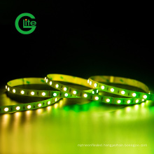 3years Warranty LED Light Stripsmd5050 RGBW 60LED 19.2W Ra90 LED Strip DC24 Strip LED Light Strip